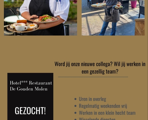 vacatures, de gouden molen, euro-toques nederland